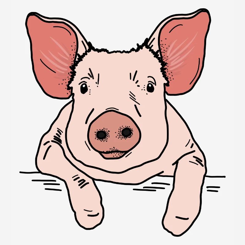 Tête de cochon