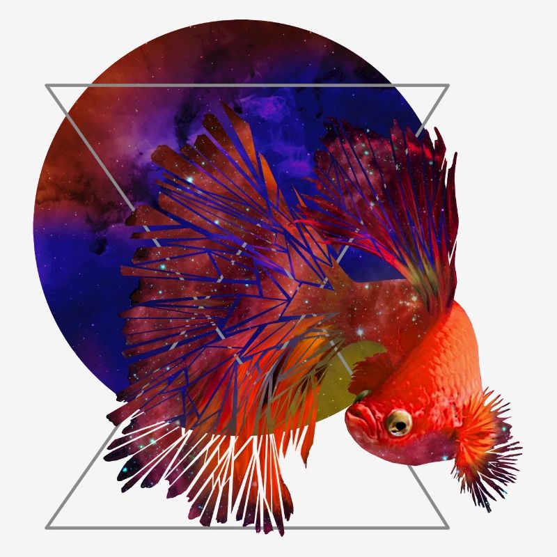 Poissons de l’espace