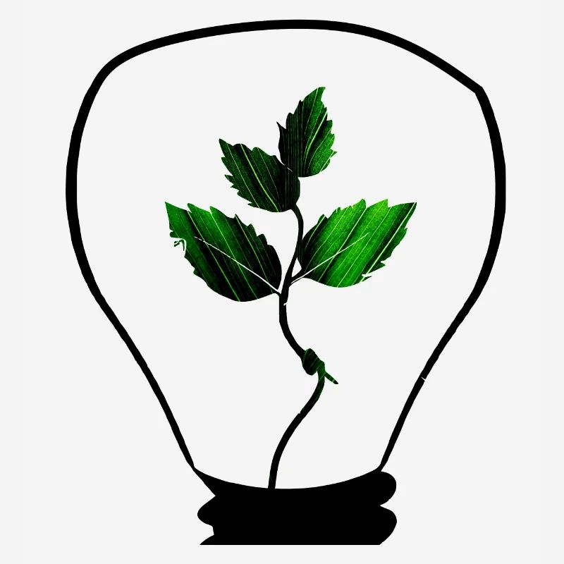 Nachhaltigkeit beginnt mit einer Idee