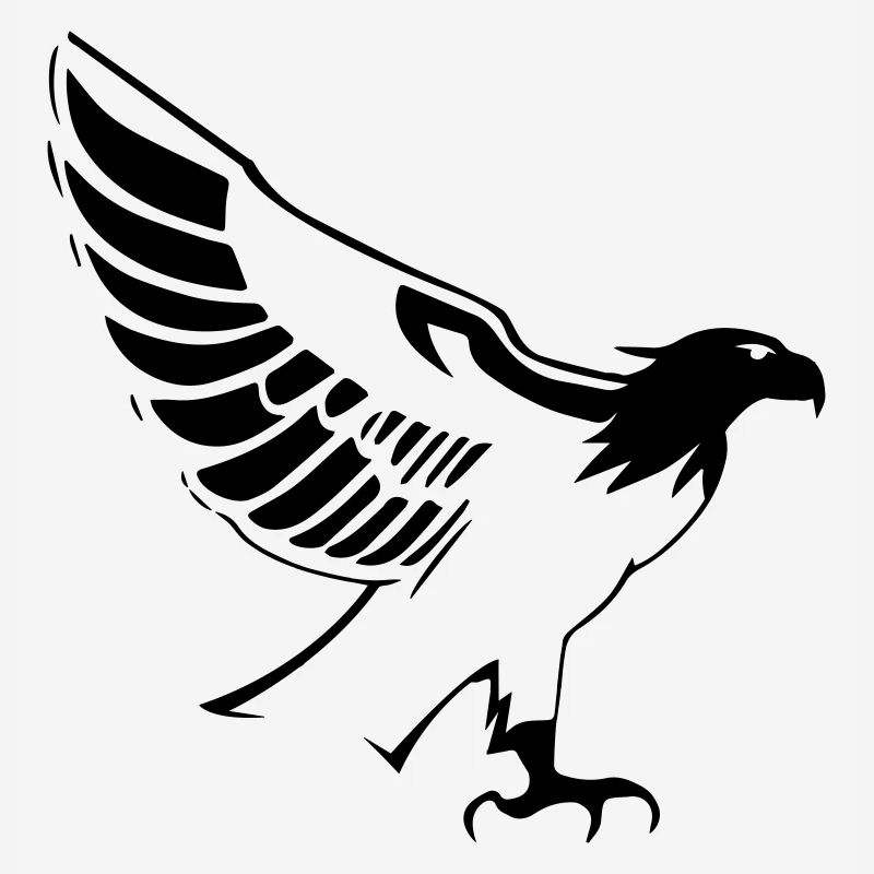 Flying eagle opening wings in profile