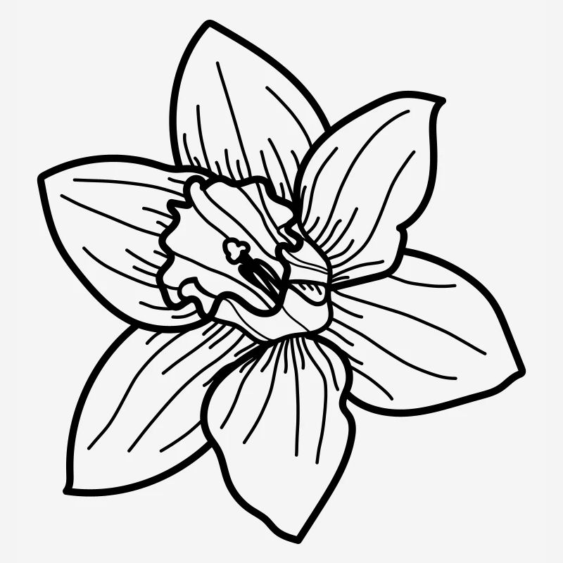 Fleur de jonquille