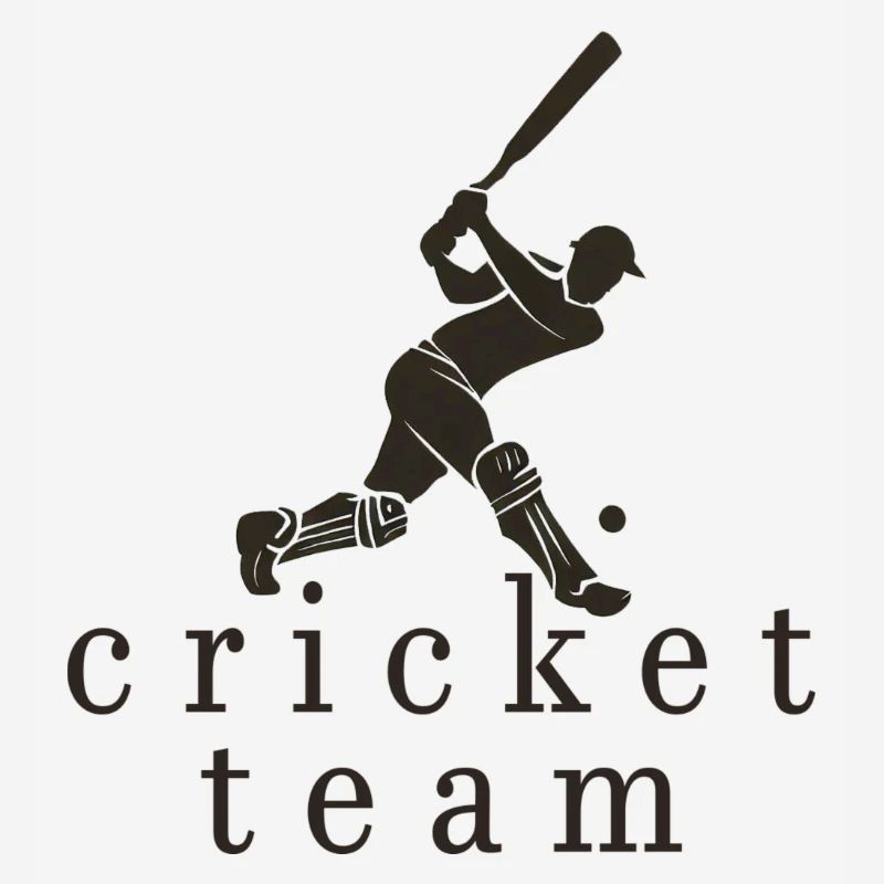 Équipe de cricket