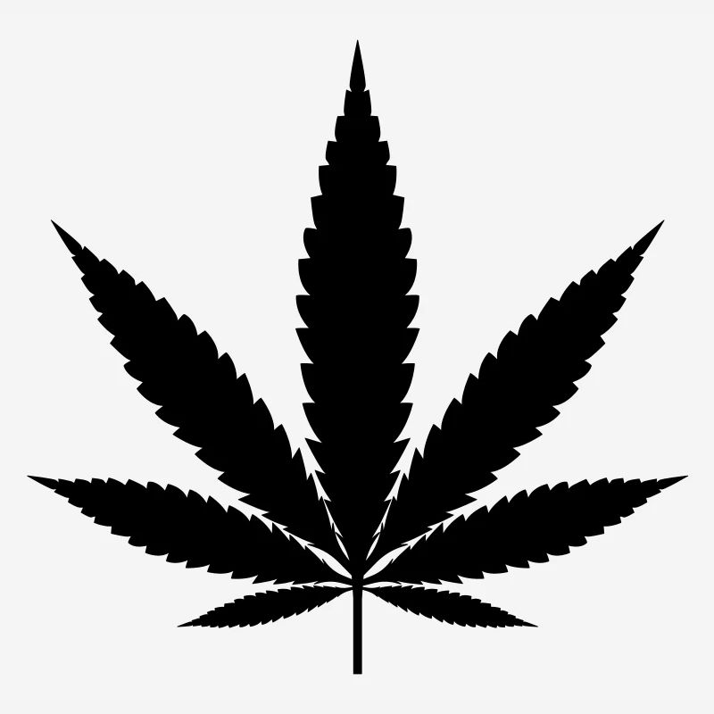 Feuille de marijuana