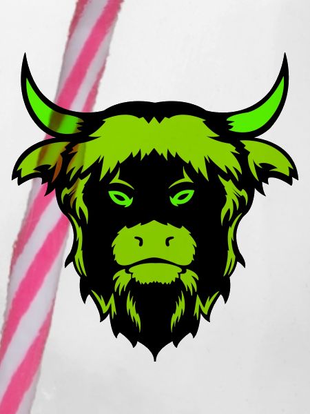 Taureau Buffalo