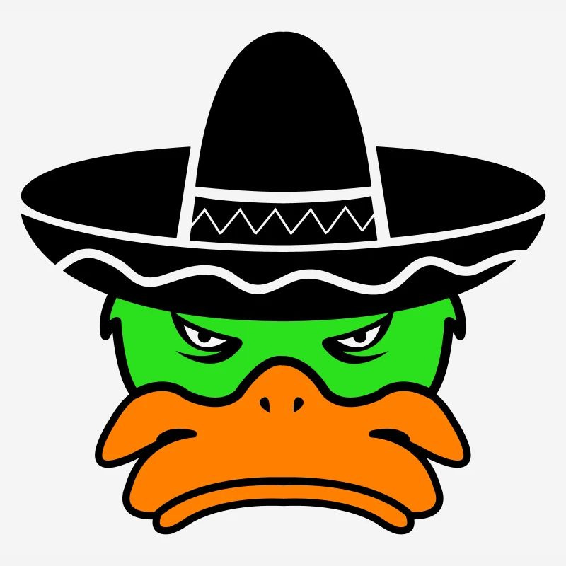 Mexico Duck 02