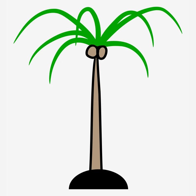 Palm Tree Island Tree Plage Vacances Noix de Mer Cool