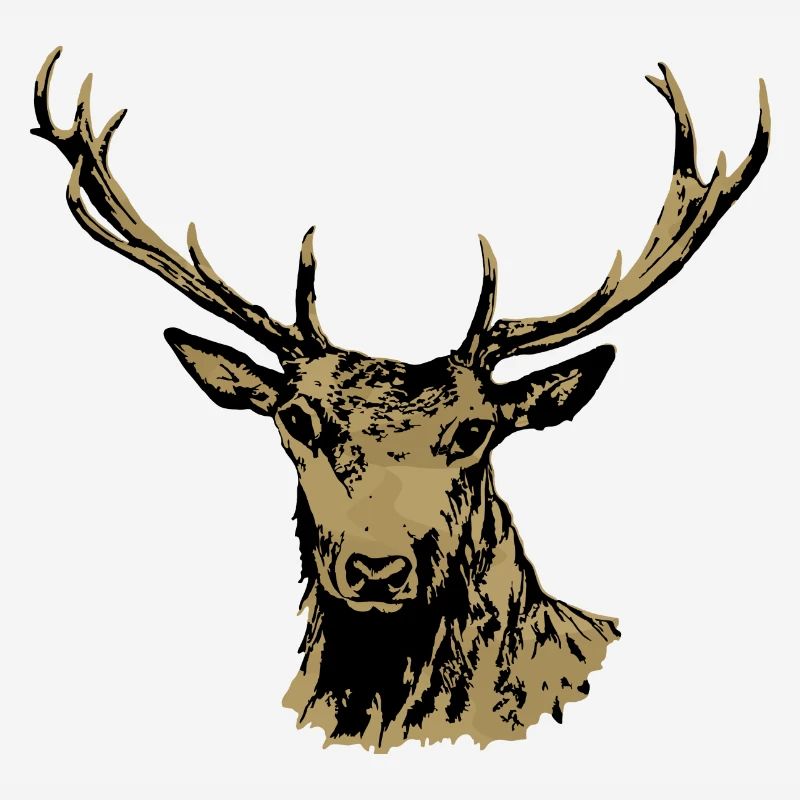 Hirsch