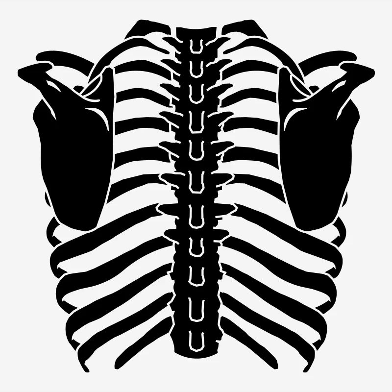 Ribcage (Back side)