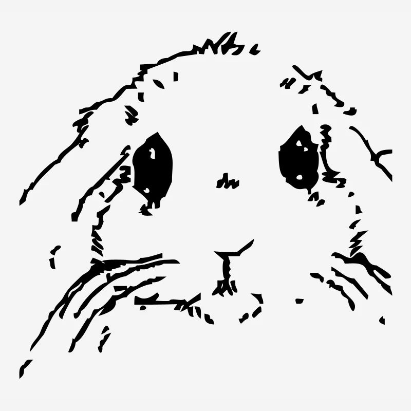 Lapin