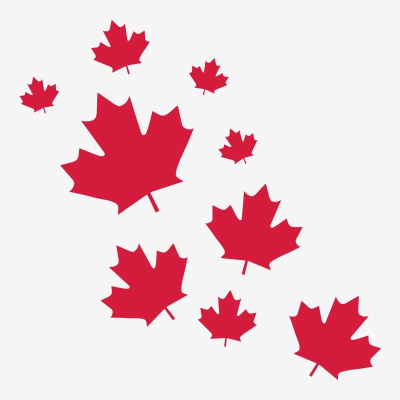 Canada Maple Leave Rain