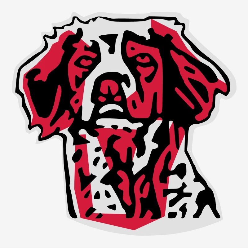 Brittany Spaniel