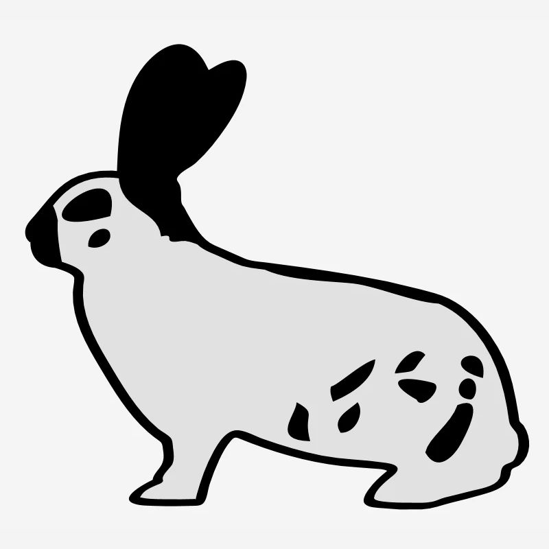 Le géant allemand pie lapin lapin