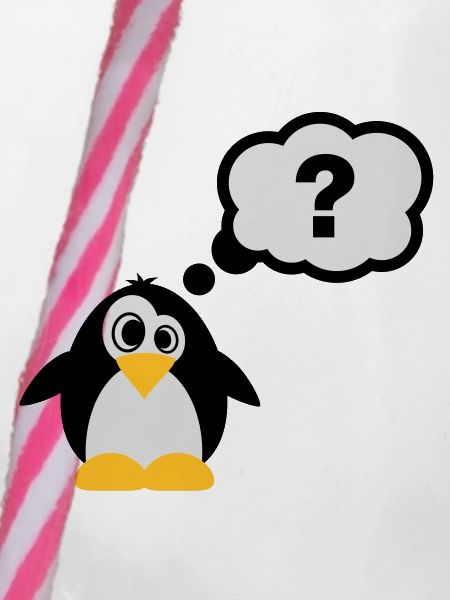 pinguin_frage_f3