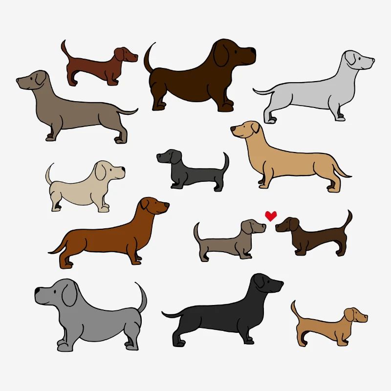 super cute dachshund, gift idea, poster