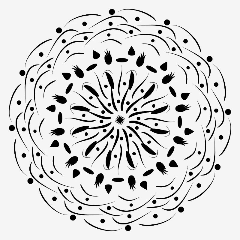 Rotating Flower in Black Pattern Gift Idea