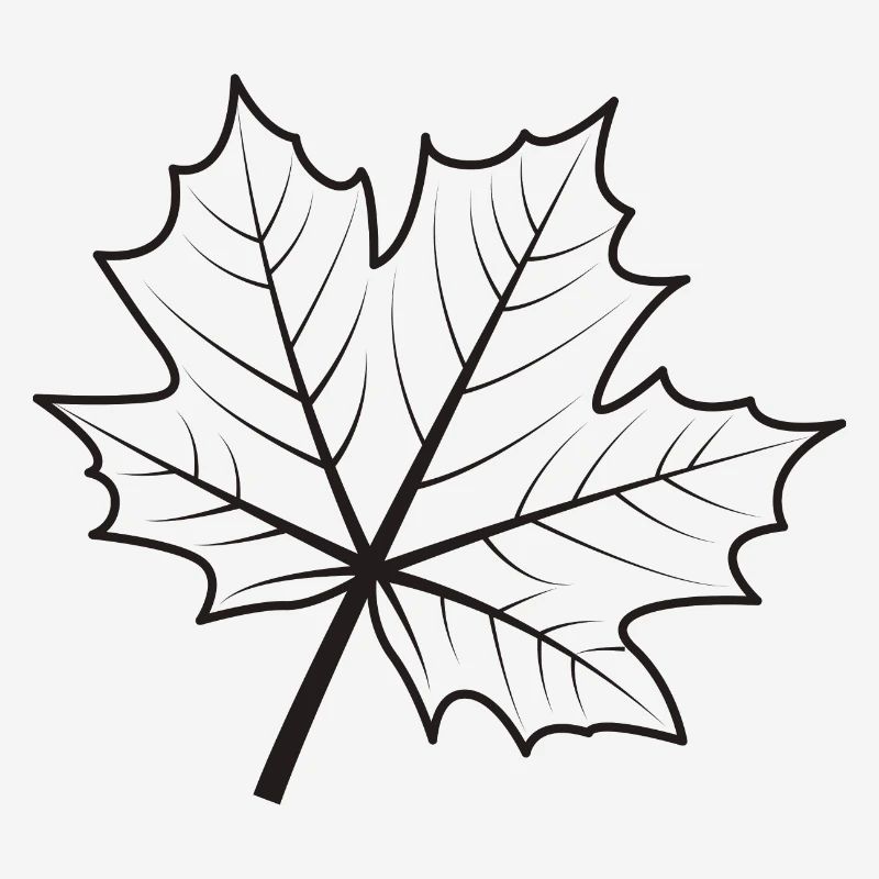 Maple Leaf Gift Nature Wals Tree Trees Autumn