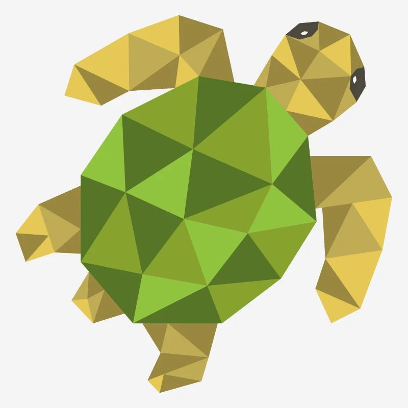 Turtle Geometric Gift Triangle Hipster