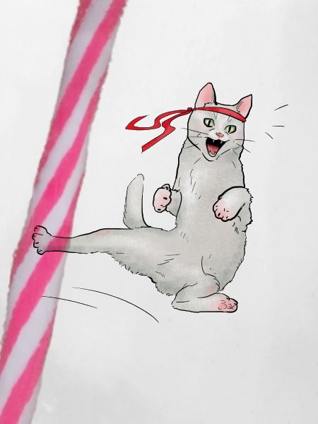 Chat au karaté