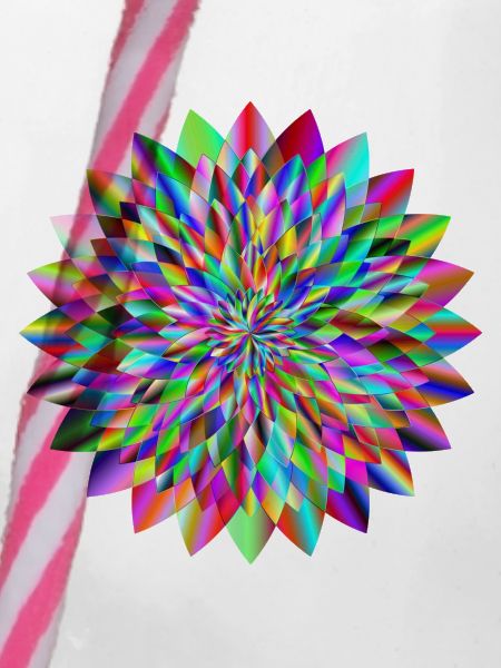 Bunt