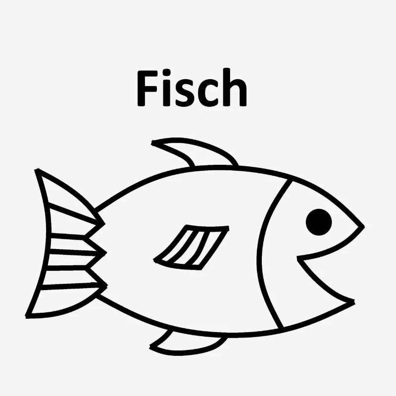 A fish