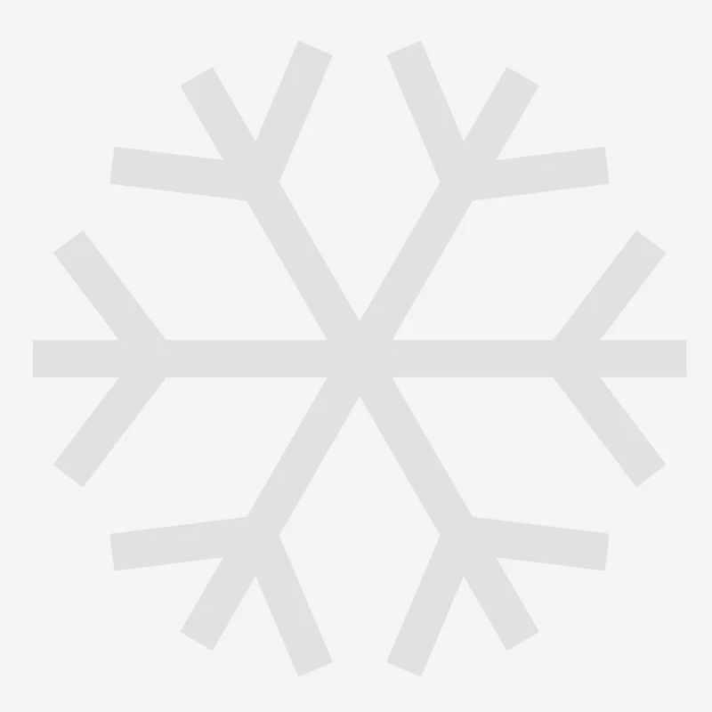 Snowflake
