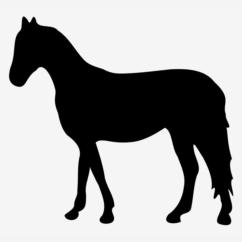 Cheval debout