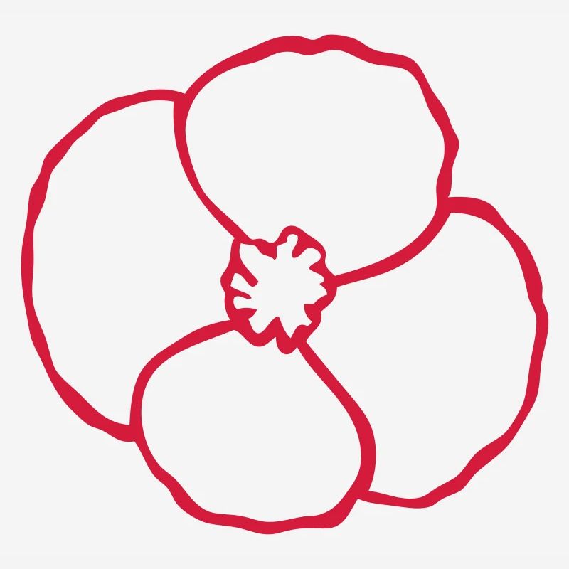 coquelicot fleur 02