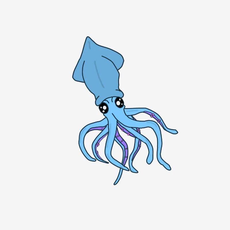 Conception de calamars