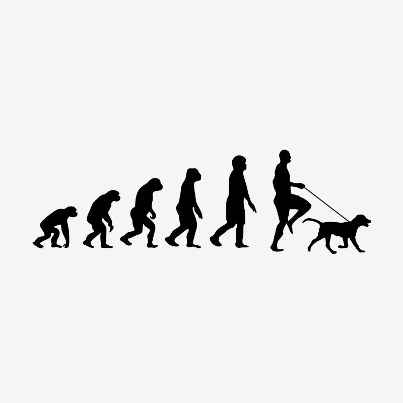 Labrador Evolution