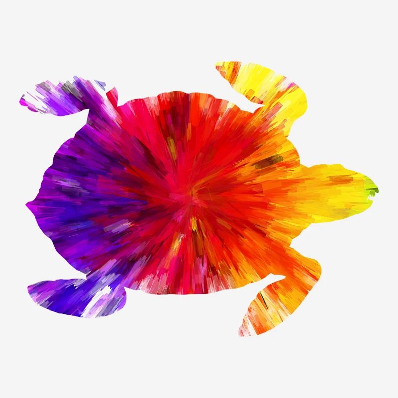 Colored turtle