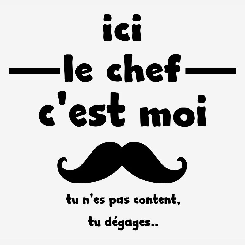 ici le chef c'est moi tu n'es pas content