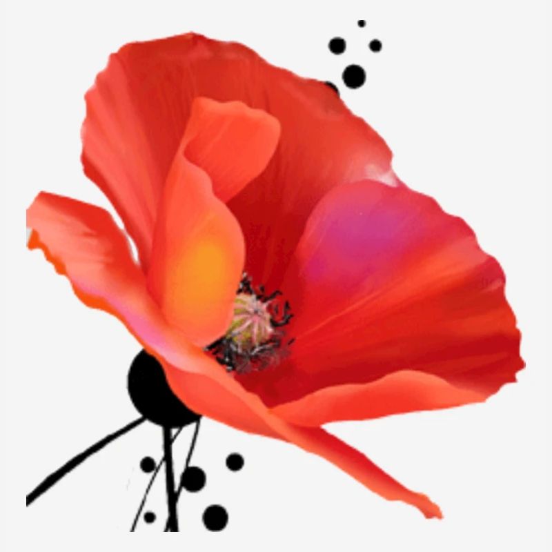 Mohn