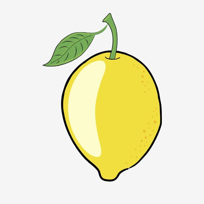 Lemon lime fruit from the lemon tree