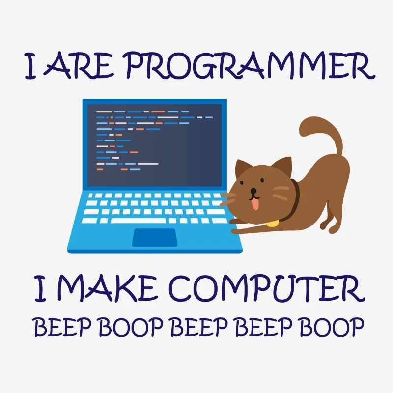 I are Programmer i make Computer Informatiker
