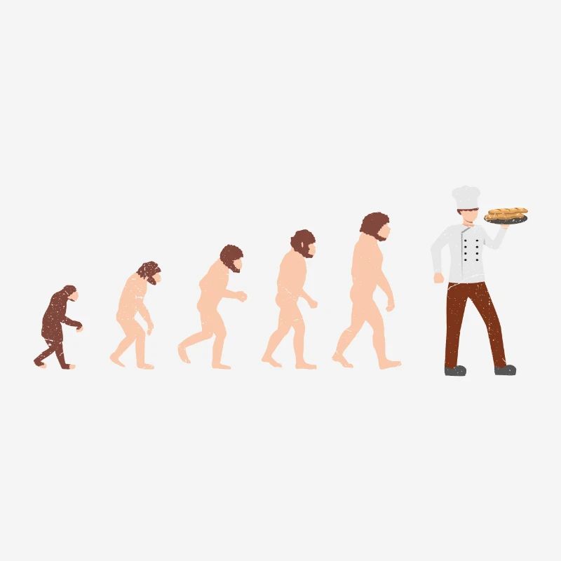 Evolution Chef Cook Idée cadeau drôle