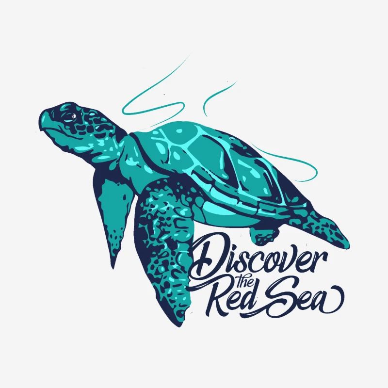 Only Turtle