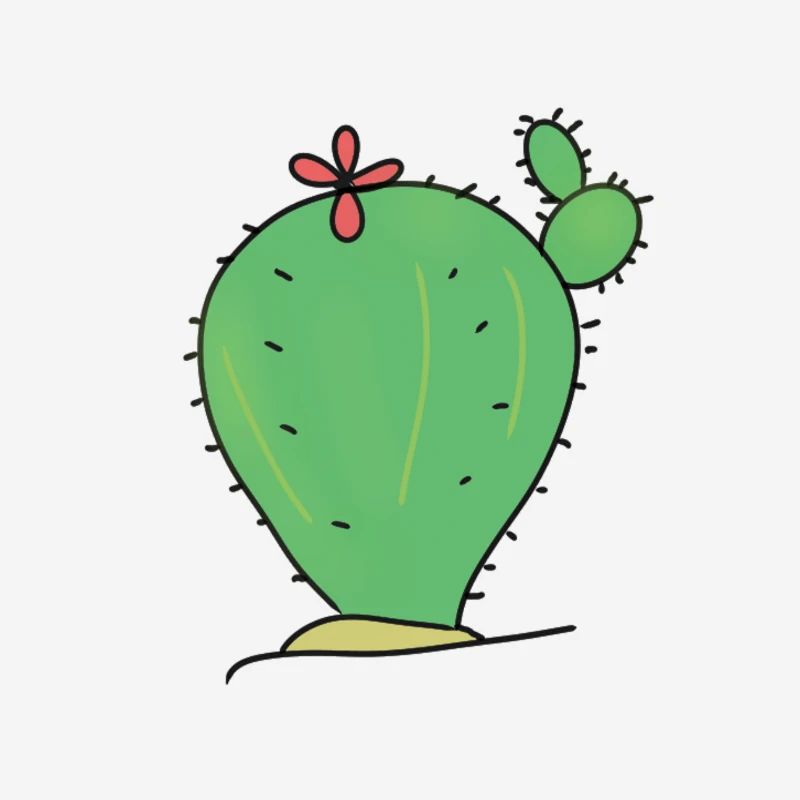 CACTUS CACTUS