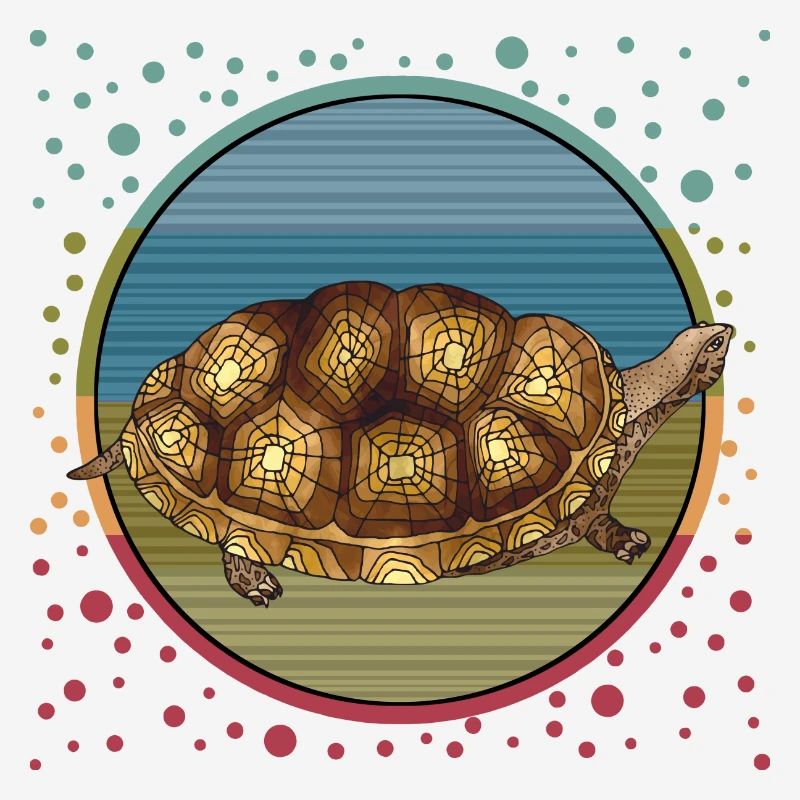 Tortue