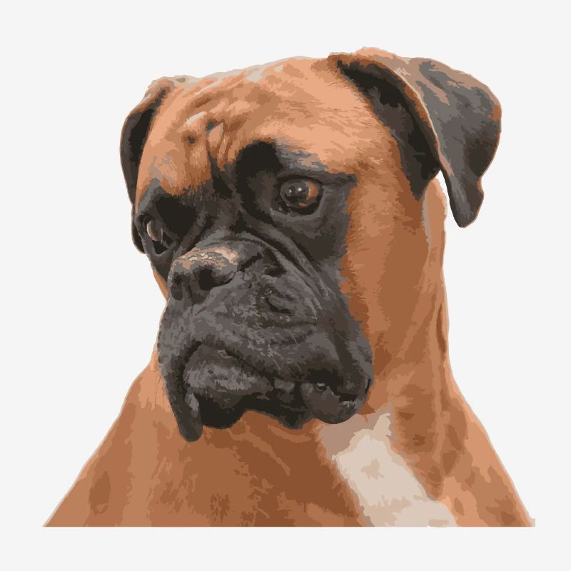 Boxer Triste