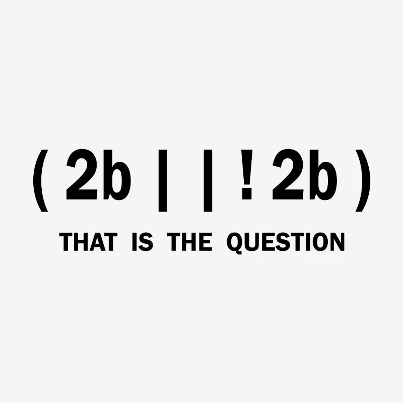 Lehrer Programieren Spruch Geschenk