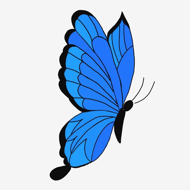 papillon