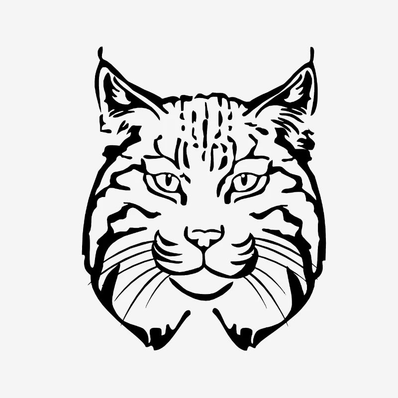 tête de lynx