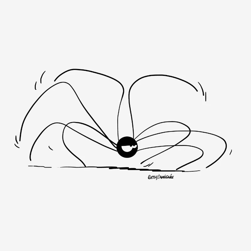 Beth the Spider - Small Body Large Paws