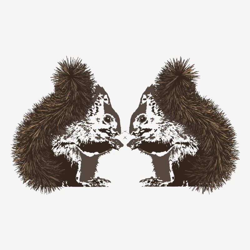 Eichhörnchen, Eichhörnchen