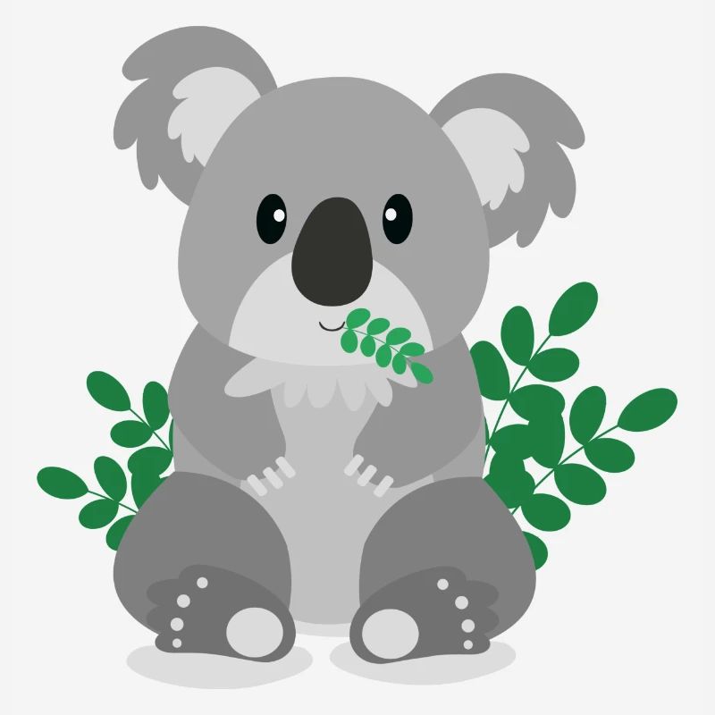 koala