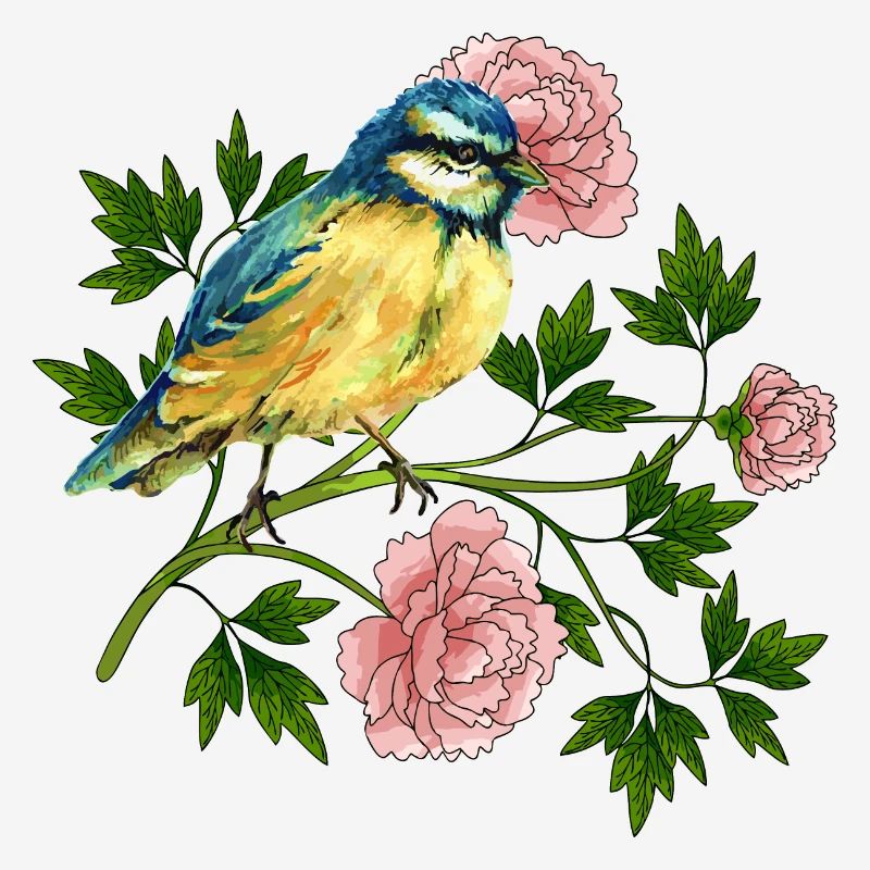 Oiseau coloré