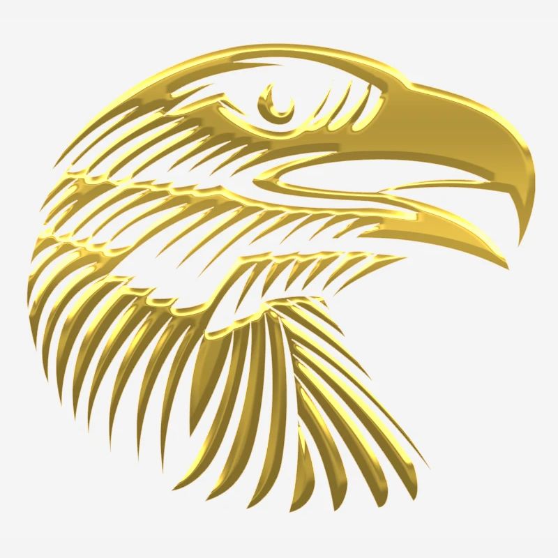 Eagles Eagle Eagle bird falcon hawk