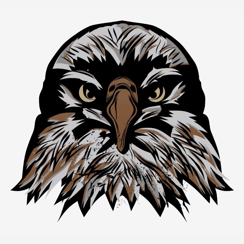 head eagle fancy drawing