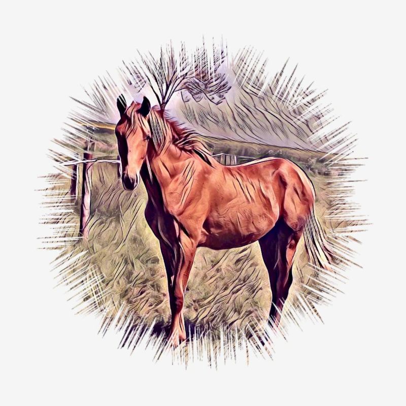 Cheval