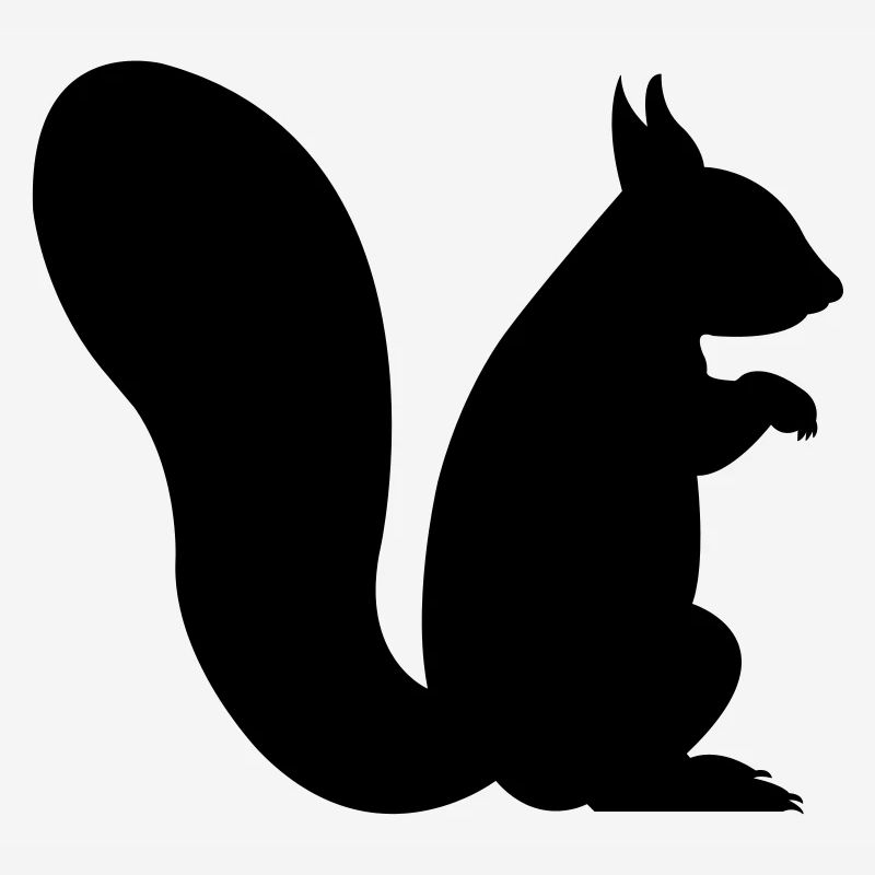 eichhörnchen